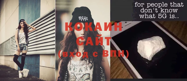ГАЛЛЮЦИНОГЕННЫЕ ГРИБЫ Заводоуковск