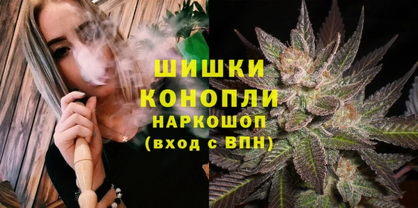 ГАЛЛЮЦИНОГЕННЫЕ ГРИБЫ Заводоуковск