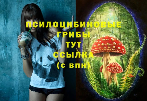 mdpv Заволжье
