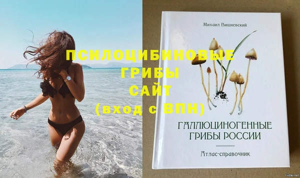 ГАЛЛЮЦИНОГЕННЫЕ ГРИБЫ Заводоуковск