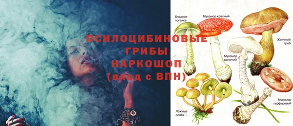ГАЛЛЮЦИНОГЕННЫЕ ГРИБЫ Заводоуковск