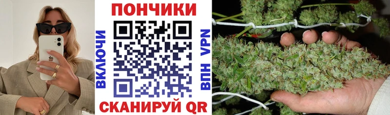 Бошки марихуана гибрид  Купить закладки  Кандалакша 